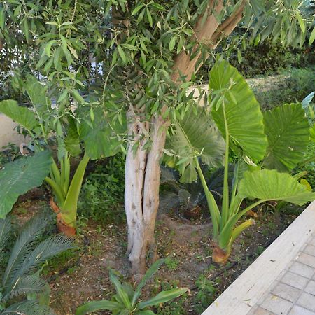 Villa Il Faro 锡拉库扎 外观 照片